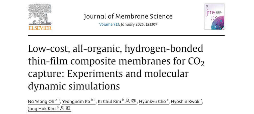 Low cost all organic hydrogen bonded thin film composite membranes for CO2 capture Experiments and molecular dynamic simulations