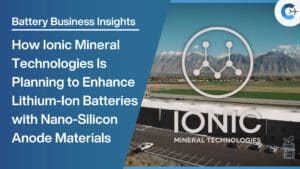 Business Insights Ionic Mineral Technologies