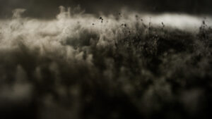 Vianode and C4V Ink LOI for Synthetic Anode Graphite Supply