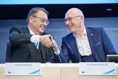 EESC Urges EU to Embrace Sodium Batteries in Strategy