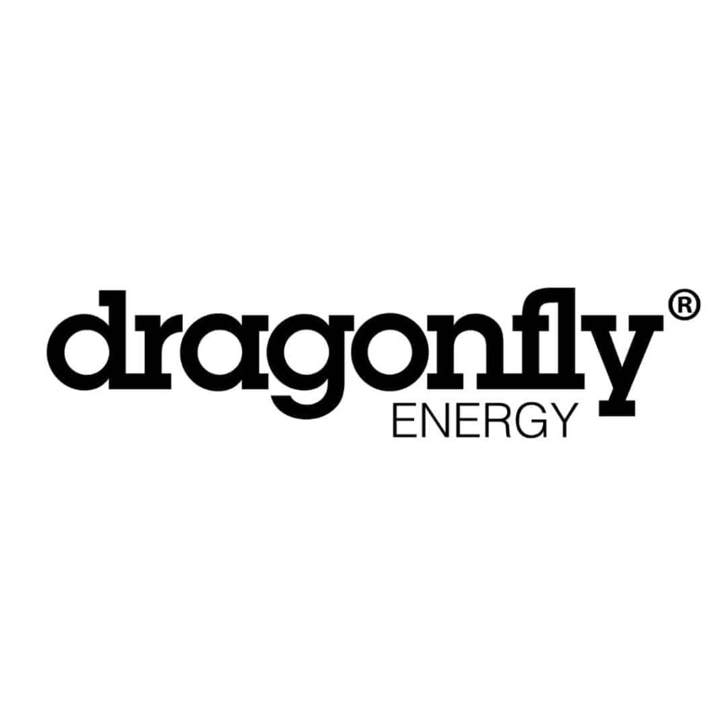 Dragonfly Energy Wins EU Patent for Dry Electrode Tech