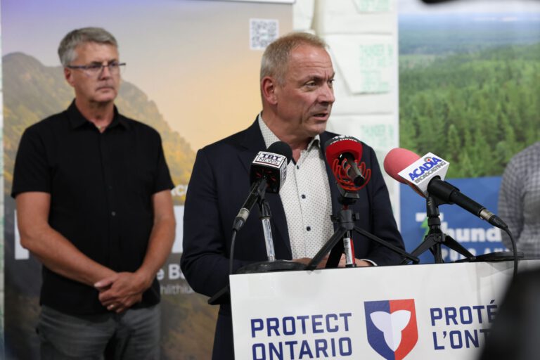 Ontario Backs Rock Tech’s Crude Tall Oil Lithium Tests
